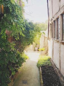 an empty alley way with a building and plants at Roselina in Hastings