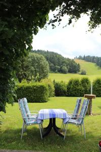 two chairs and a table in the grass at Ferienwohnung Ausblick in Willingen