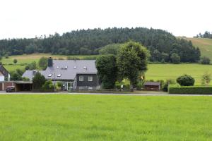 a house in the middle of a green field at Ferienwohnung Ausblick in Willingen