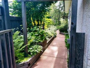 Zahrada ubytování U of A Homestay, Trails & Whyte Ave