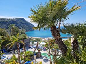 uma vista para um resort com palmeiras e o oceano em Villino La Canfora em Ischia