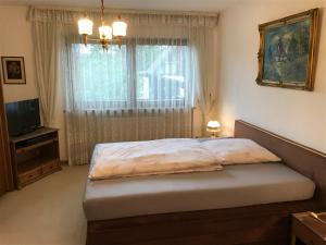 1 dormitorio con cama, ventana y TV en Gemütliches Gästehaus!, en Waldkraiburg