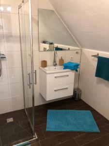 een badkamer met een wastafel en een douche bij Charmante Ferienwohnungen auf Reitstall Wasserburg Anstel - ein Ort zum Wohlfühlen und Entspannen in Rommerskirchen