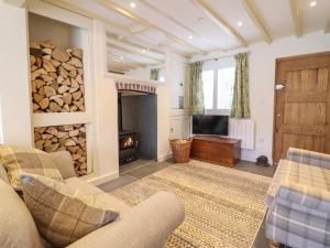 a living room with a fireplace and a tv at Tan Y Ddol in Welshpool