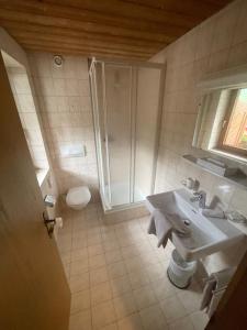 a bathroom with a sink and a shower and a toilet at Hotel Edi in Samnaun