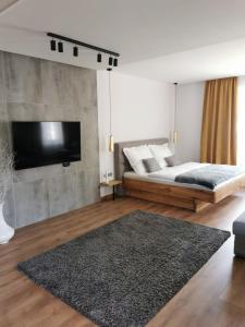 um quarto com uma cama e uma televisão de ecrã plano em CsakTi Vendégház em Szilvásvárad