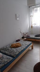 two beds in a room with two donuts on it at Babcares Apa Góry Izerskie in Mirsk