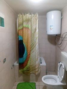 a bathroom with a shower curtain and a toilet at Monolocale fronte strada Napoli centro storico in Naples