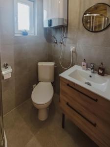 łazienka z toaletą i umywalką w obiekcie Szary Domek w Karkonoszach w mieście Podgórzyn
