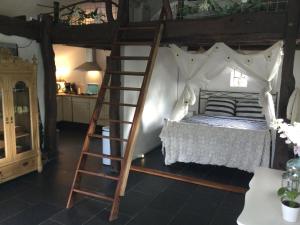 a bedroom with a bunk bed with a ladder at Landelijk gelegen Huisje op erf in Veeningen