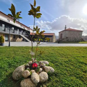 a small tree sitting on top of a pile of rocks at Alqueiturismo - Casas de Campo in Guarda