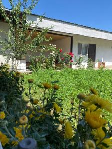 a garden with yellow flowers in front of a house at Guest House KAGAN in Toktogul