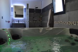 Een badkamer bij Magnifique villa avec jacuzzi