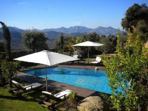 a swimming pool with two umbrellas and two chairs at LUXURY 270M² HOUSE OF CHARACTER IN OLD STONES WITH HEATED POOL, NEAR CALVI in Calenzana