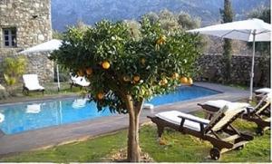 Zdjęcie z galerii obiektu LUXURY 270M² HOUSE OF CHARACTER IN OLD STONES WITH HEATED POOL, NEAR CALVI w mieście Calenzana