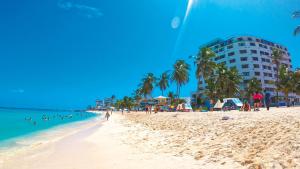 una playa con palmeras y un edificio en ella en On Vacation Blue Tone, en San Andrés