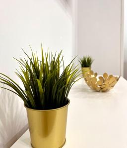 dois vasos de plantas estão sentados sobre uma mesa em Maximilian dreams 2 em Madrid