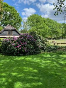 dom z różowymi kwiatami na podwórku w obiekcie Lindenhof & Guesthouse w mieście Garderen