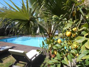 Zdjęcie z galerii obiektu LUXURY 270M² HOUSE OF CHARACTER IN OLD STONES WITH HEATED POOL, NEAR CALVI w mieście Calenzana