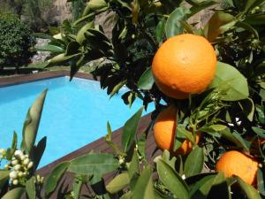 Zdjęcie z galerii obiektu LUXURY 270M² HOUSE OF CHARACTER IN OLD STONES WITH HEATED POOL, NEAR CALVI w mieście Calenzana