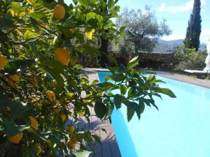 Zdjęcie z galerii obiektu LUXURY 270M² HOUSE OF CHARACTER IN OLD STONES WITH HEATED POOL, NEAR CALVI w mieście Calenzana
