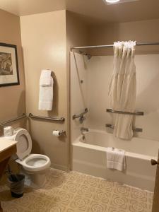 a bathroom with a tub and a toilet and a sink at Malibu Inn in Wisconsin Dells