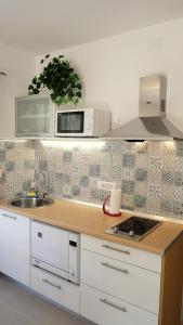 kuchnia ze zlewem i blatem w obiekcie Apartment Jadran Baška w Bašce