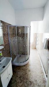 a large bathroom with a shower and a sink at Casa Sommer in Petreşti