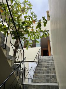 una escalera que conduce a un edificio con hojas verdes en Hotel Calmelia en Piura