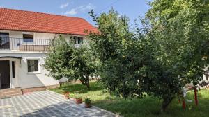 Zahrada ubytování Casa Sommer