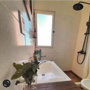 a bathroom with a sink and a window and a plant at La Narcisa in Pehuajo
