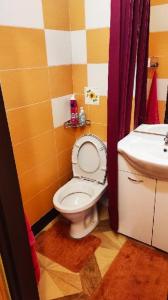Koupelna v ubytování Apartmány Šárka Újezd u Hradce Králové