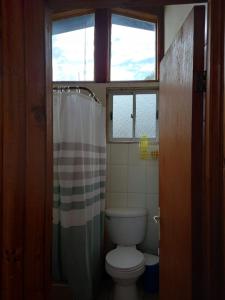 a bathroom with a toilet and a shower curtain at Frente al Mar entre Poetas in El Tabo