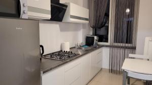 Kuchyň nebo kuchyňský kout v ubytování Apartament Tuwima