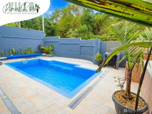 a swimming pool in a yard with a fence at Villa Baies Roses - Piscine chauffée Ile de la Réunion in Le Tampon