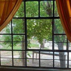 uma janela com vista para uma árvore a partir de uma casa em La Casa De La Gruta em Mina Clavero