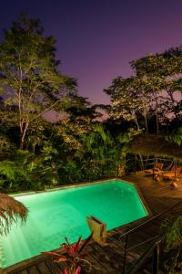 Bassein majutusasutuses Hamadryade Lodge või selle lähedal