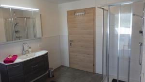 een badkamer met een wastafel en een douche bij JOE's Appartement in Ebbs
