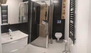 a bathroom with a shower and a sink and a toilet at Trzy kolory in Bielsko-Biała