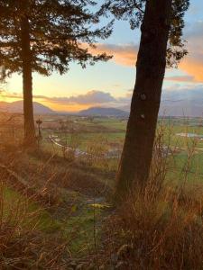 Gallery image of Tiny House Big View in Chilliwack