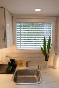 eine Küchentheke mit einem Waschbecken und einem Fenster in der Unterkunft Tiny House Big View in Chilliwack