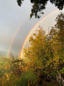 a rainbow in the sky over a field with trees at Tiny House Big View in Chilliwack