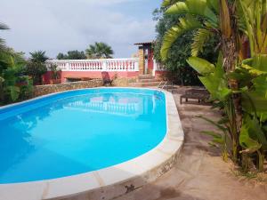 una gran piscina en un patio con árboles en Residence Villa delle Rose, en Lampedusa
