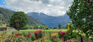 Paesaggio naturale nelle vicinanze dell'appartamento