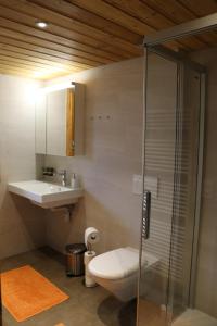 a bathroom with a toilet and a sink and a shower at Bühlerhof in Lenk