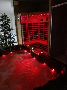 Fotografia z galérie ubytovania Spa appartement O temps suspendu Reims centre sauna et jacuzzi v destinácii Reims