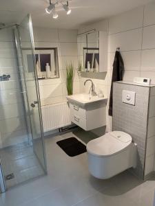 a bathroom with a toilet and a sink and a shower at Das Atelier in Krummhörn +36 photos