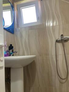 斑博納的住宿－Bujtina Arturi，一间带水槽和窗户的浴室