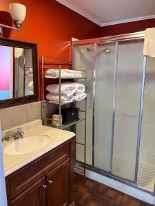 a bathroom with a shower and a sink and a mirror at Great House Motel in Sequim