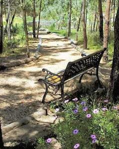 a park bench sitting on a path in the woods at Quinta Dos Amarelos no Meco in Aldeia do Meco